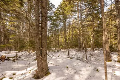 Lot 13 Nahanada Road, Bristol, ME 04554 - Photo 22