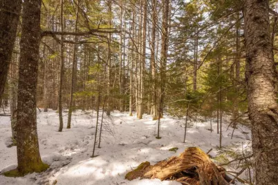Lot 13 Nahanada Road, Bristol, ME 04554 - Photo 24