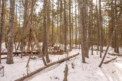 Lot 13 Nahanada Road, Bristol, ME 04554 - Photo 42