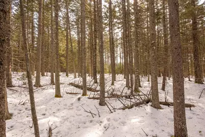 Lot 13 Nahanada Road, Bristol, ME 04554 - Photo 40