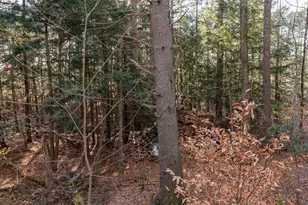 8 Western Ave, Gorham, ME 04038 - Photo 56