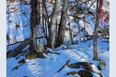 0 High Street, Peru, ME 04290 - Photo 46