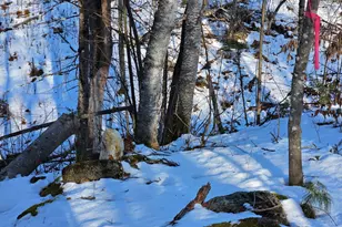 0 High St, Peru, ME 04290 - Photo 46