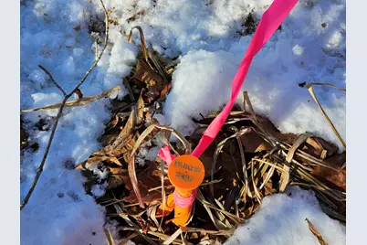 0 High Street, Peru, ME 04290 - Photo 54