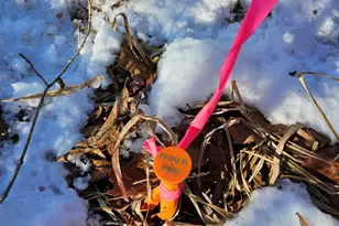 0 High St, Peru, ME 04290 - Photo 54