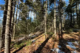 0 High St, Peru, ME 04290 - Photo 34