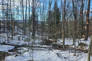 0 High St, Peru, ME 04290 - Photo 60