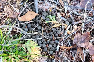 0 High St, Peru, ME 04290 - Photo 40