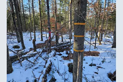 0 High Street, Peru, ME 04290 - Photo 48