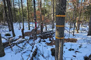 0 High St, Peru, ME 04290 - Photo 48