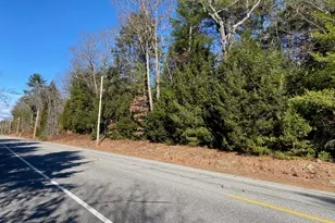 599 Pequawket Trail, Standish, ME 04085 - Photo 1