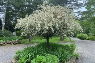 33 + 30 Taylor Rd, Westport, ME 04578 - Photo 62