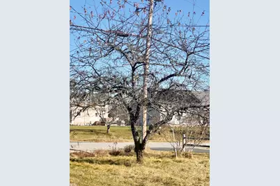 69 Mill Street, Harrington, ME 04643 - Photo 6