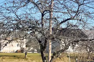 69 Mill St, Harrington, ME 04643 - Photo 6