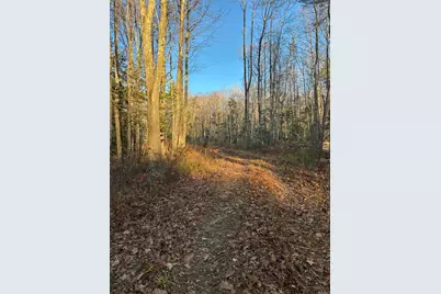 111 Start Road, Camden, ME 04843 - Photo 8
