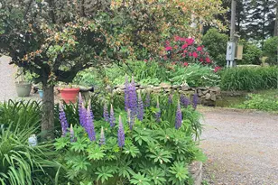 33 + 30 Taylor Rd, Westport, ME 04578 - Photo 62