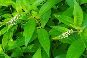 489 Back Rd, Skowhegan, ME 04976 - Photo 56