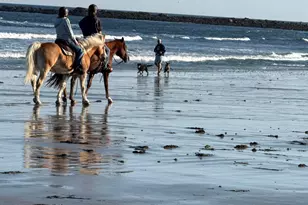 1373 Post Rd, Wells, ME 04090 - Photo 28