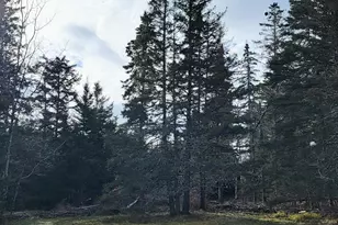 563 East Side Rd, Hancock, ME 04640 - Photo 78