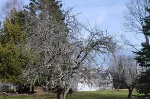 563 East Side Rd, Hancock, ME 04640 - Photo 54