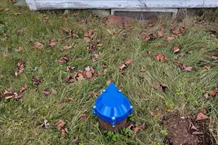 563 East Side Rd, Hancock, ME 04640 - Photo 74