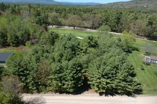 Lot 4 Emery Rd, Parsonsfield, ME 04047 - Photo 1
