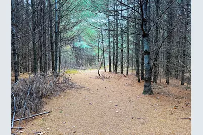 Lot 4 Emery Road, Parsonsfield, ME 04047 - Photo 12