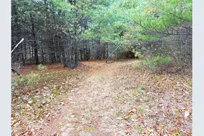 Lot 4 Emery Road, Parsonsfield, ME 04047 - Photo 4