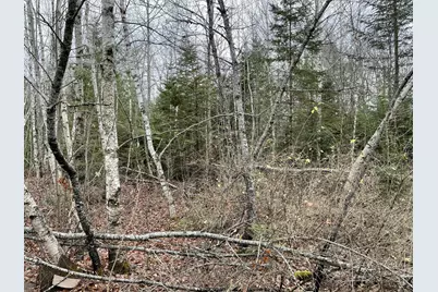 194 E Gulch Road, Thorndike, ME 04986 - Photo 12