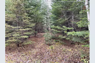 194 E Gulch Road, Thorndike, ME 04986 - Photo 6