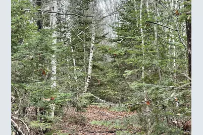 194 E Gulch Road, Thorndike, ME 04986 - Photo 2