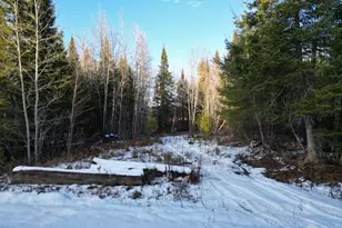 Lot 4-1 Butterfield Ridge Rd, Woodville, ME 04457 - Photo 1