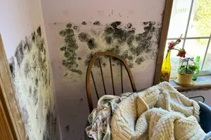 20 Bunker Hill Dr, Gouldsboro, ME 04655 - Photo 8