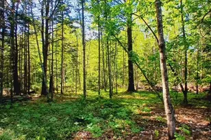 [Address not provided], New Vineyard, ME 04956 - Photo 8