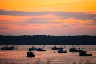 77 Johnson St, Lubec, ME 04652 - Photo 68