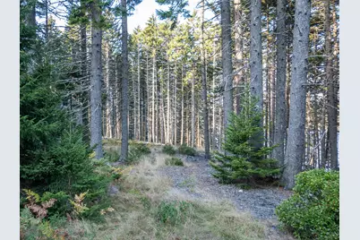 63 Minturn Road, Swans Island, ME 04685 - Photo 14