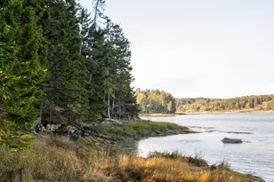 63 Minturn Rd, Swans Island, ME 04685 - Photo 1