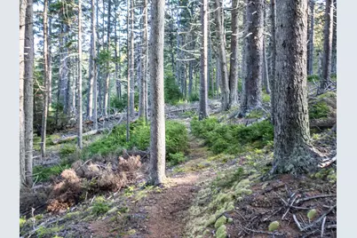 63 Minturn Road, Swans Island, ME 04685 - Photo 8