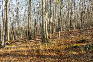 6 Gosse's Hill Rd, Camden, ME 04843 - Photo 26