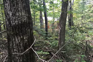 228 S Stagecoach Rd, Atkinson, ME 04426 - Photo 18