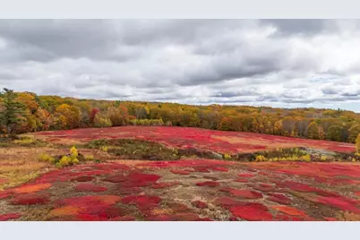 Map 4 Lot 3 Clarry Hill Lane, Union, ME 04862 - Photo 8