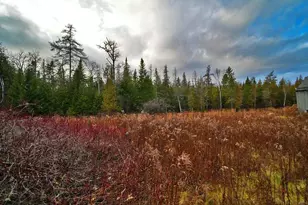 228 U.S. Rte 1, Bridgewater, ME 04735 - Photo 2