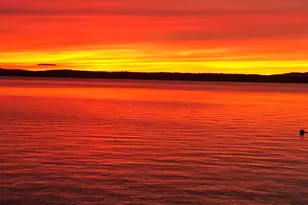 6 Gilman Rd, Standish, ME 04084 - Photo 8