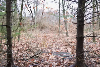 13 Bar Mills Road, Hollis, ME 04042 - Photo 58