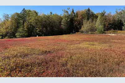 Map19Lot28 Leach Road, Penobscot, ME 04476 - Photo 14
