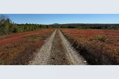Map19Lot28 Leach Road, Penobscot, ME 04476 - Photo 8