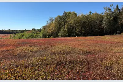 Map19Lot28 Leach Road, Penobscot, ME 04476 - Photo 10