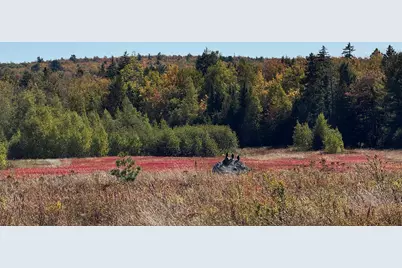 Map19Lot28 Leach Road, Penobscot, ME 04476 - Photo 20