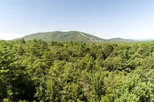 31 Helena Wy, Bridgton, ME 04009 - Photo 8