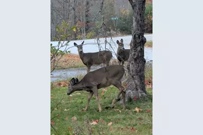 165 Old Stage Road, Norway, ME 04268 - Photo 48